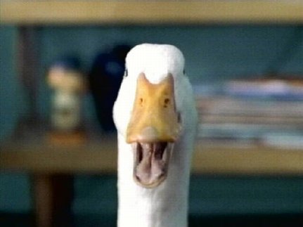 431_aflac.jpg